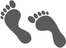 Single Piece Four Pass Solid Fuel Fired Thermic Fluid Heater